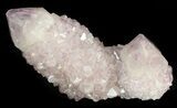 Cactus Quartz (Amethyst) Crystal - Large Crystals #44787-1